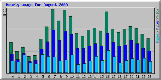 Hourly usage for August 2009