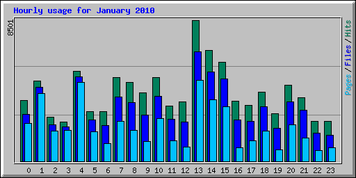 Hourly usage for January 2010