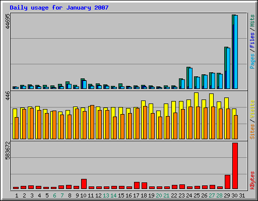 Daily usage for January 2007