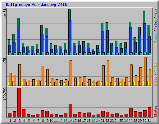 Daily usage for January 2013