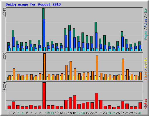 Daily usage for August 2013