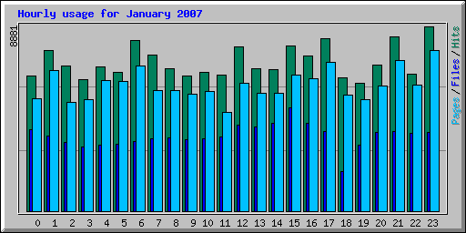 Hourly usage for January 2007