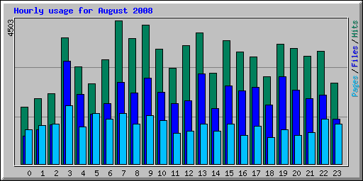 Hourly usage for August 2008