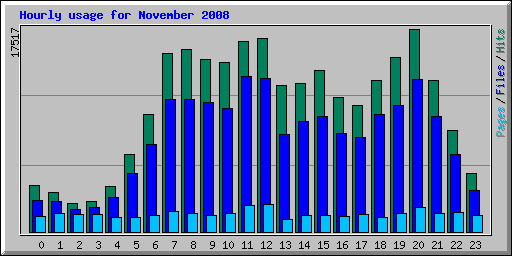 Hourly usage for November 2008