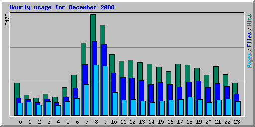 Hourly usage for December 2008