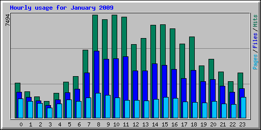 Hourly usage for January 2009