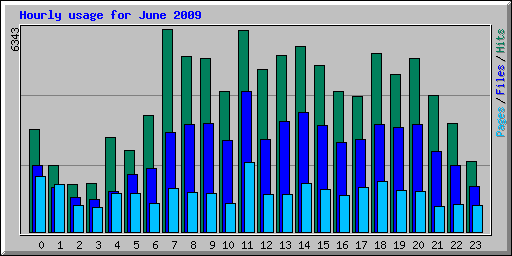 Hourly usage for June 2009