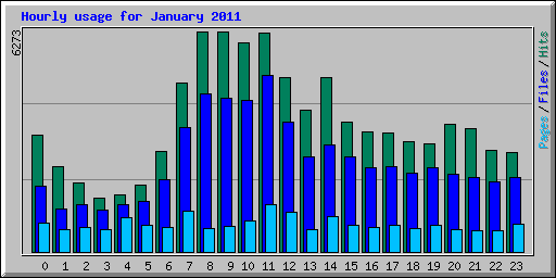 Hourly usage for January 2011