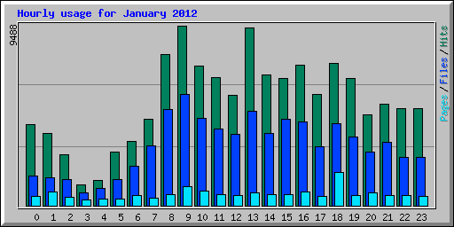 Hourly usage for January 2012