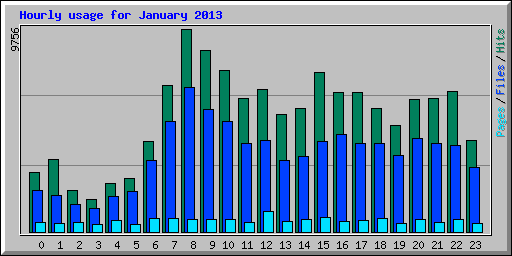 Hourly usage for January 2013