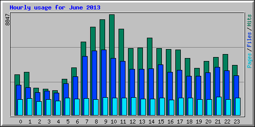 Hourly usage for June 2013