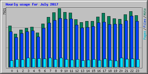 Hourly usage for July 2017